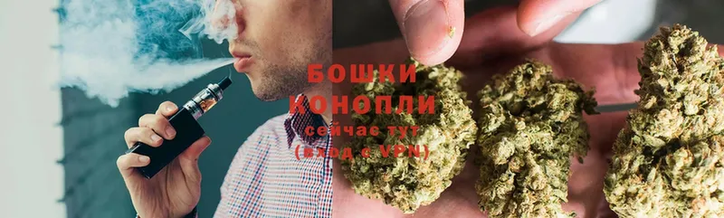 Конопля Bruce Banner  закладка  Светлоград 